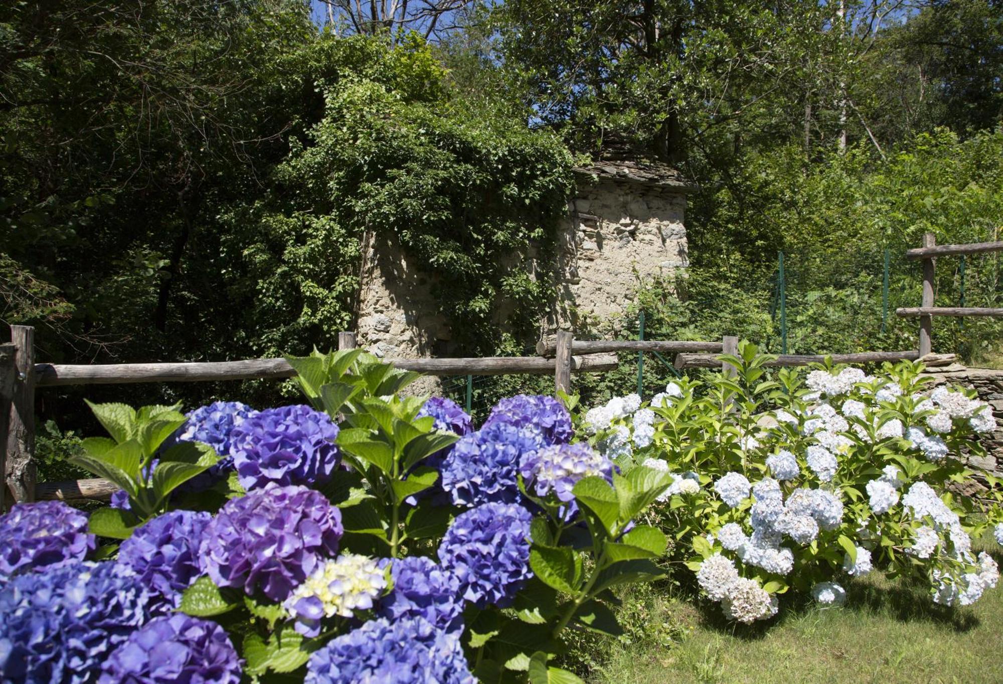Agriturismo Rossolampone San Bernardino Verbano Zimmer foto